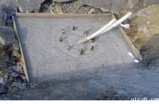 基础浇灌后效果